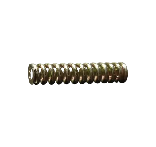 R086982  (Spring - plunger)